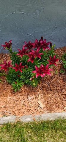 1019 Ash Street, Alexandria, MN 56308