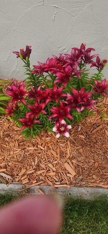 1019 Ash Street, Alexandria, MN 56308