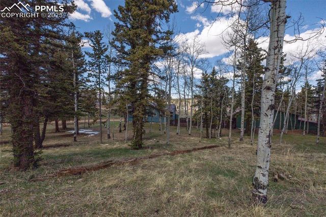 571 Will Scarlet Drive, Divide, CO 80814