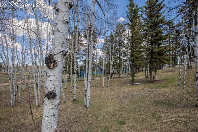 571 Will Scarlet Drive, Divide, CO 80814