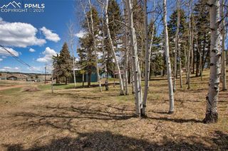 571 Will Scarlet Drive, Divide, CO 80814