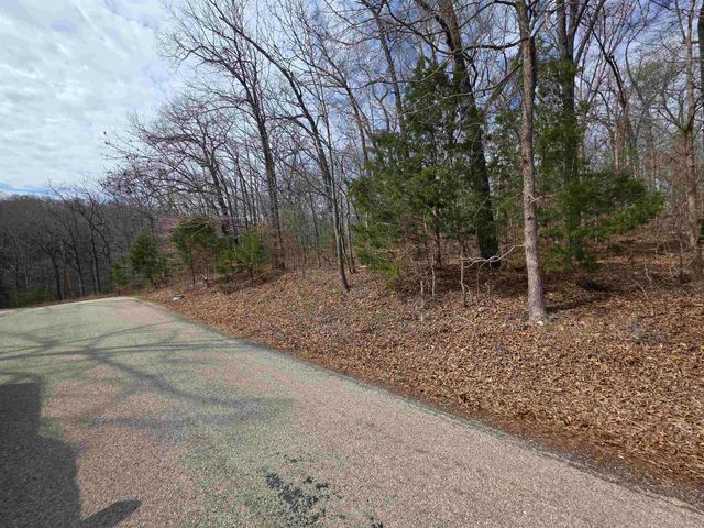 L-13 B-2 Robin Hood Lane, Hardy, AR 72542