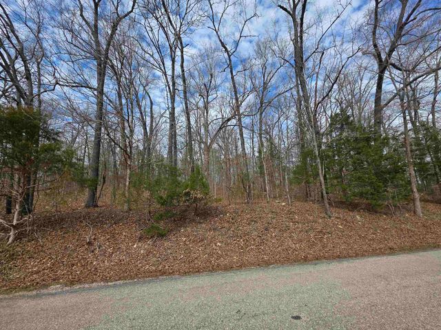 L-13 B-2 Robin Hood Lane, Hardy, AR 72542