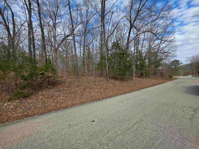 L-13 B-2 Robin Hood Lane, Hardy, AR 72542