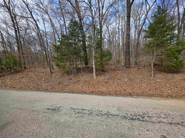 L-13 B-2 Robin Hood Lane, Hardy, AR 72542