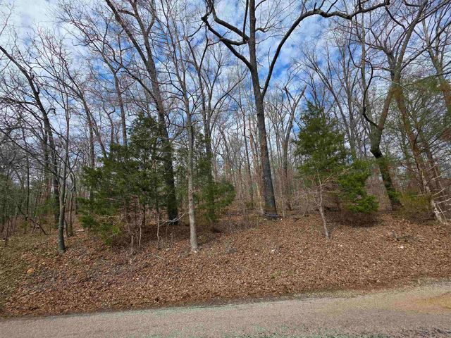 L-13 B-2 Robin Hood Lane, Hardy, AR 72542