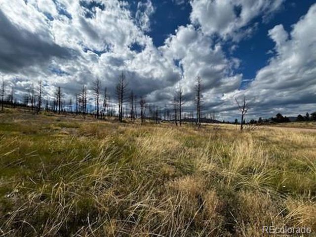 442 Forbes Park Rd, Fort Garland, CO 81133