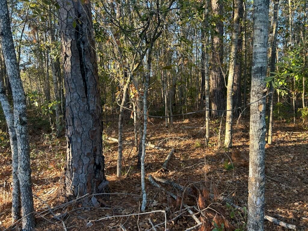 5860 Martin Street, Ravenel, SC 29470