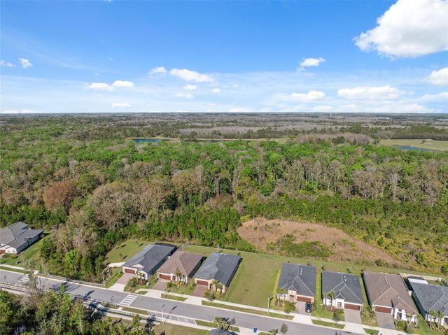 16787 SHELL BAY DR, Land O Lakes, FL 34638