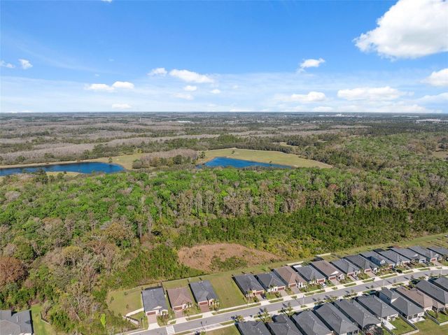 16787 SHELL BAY DR, Land O Lakes, FL 34638