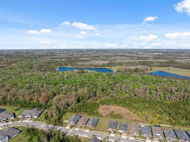 16787 SHELL BAY DR, Land O Lakes, FL 34638