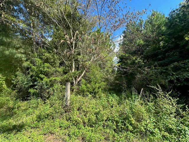 75 Inez Way, Quincy, FL 32351