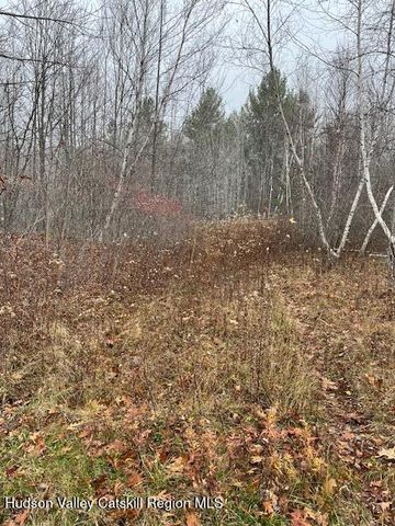 Tbd Goshen Street, Jewett, NY 12444