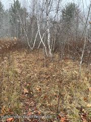 Tbd Goshen Street, Jewett, NY 12444