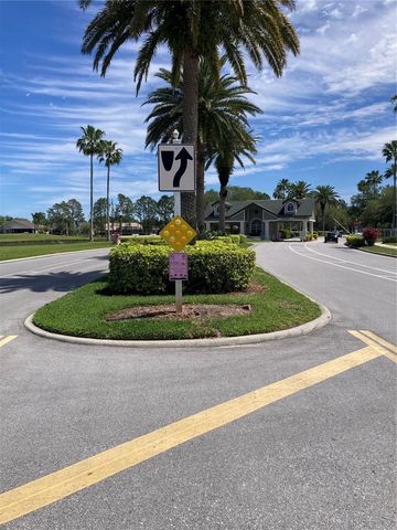 1327 TOLLBRIDGE COURT, Trinity, FL 34655