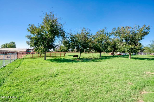 18950 E VIA DE PALMAS --, Queen Creek, AZ 85142