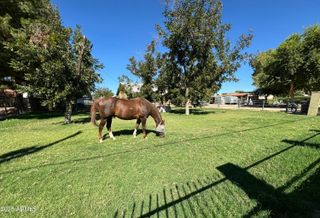 18950 E VIA DE PALMAS --, Queen Creek, AZ 85142