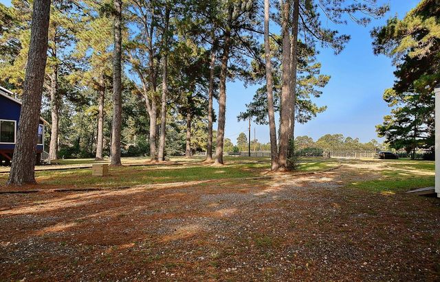 33319 Lago Vista Real Drive, Magnolia, TX 77354