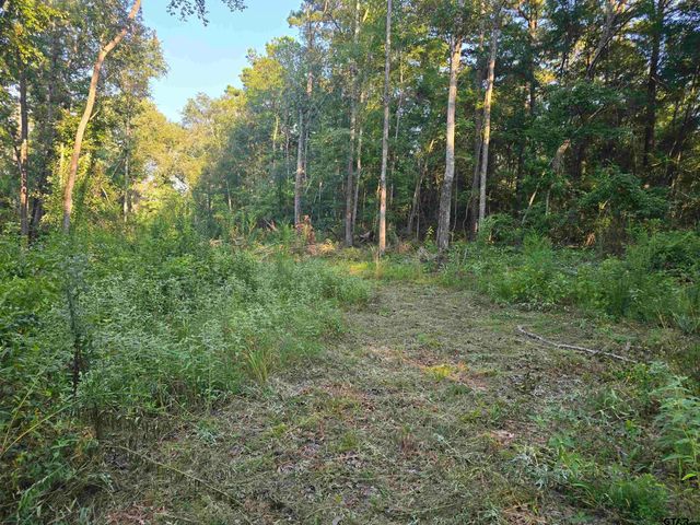 11839 FM 344, Whitehouse, TX 75791