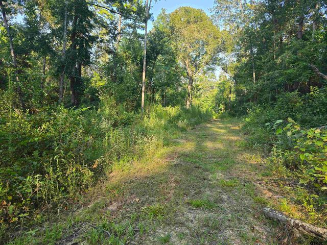 11839 FM 344, Whitehouse, TX 75791