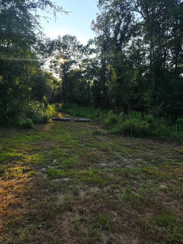 11839 FM 344, Whitehouse, TX 75791