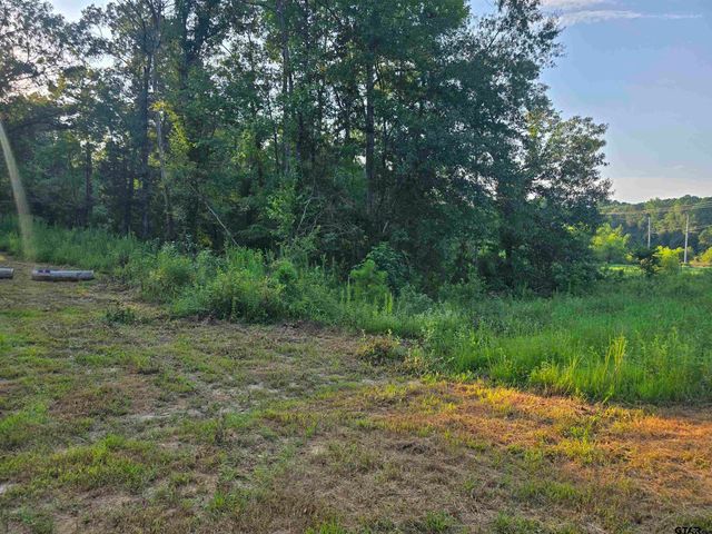 11839 FM 344, Whitehouse, TX 75791