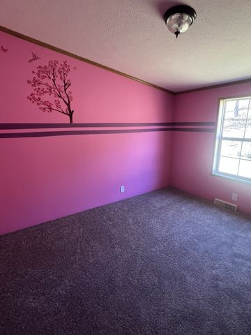 697 Club Springs Rd, Buffalo Valley, TN 38548