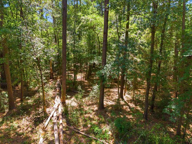 17837 Deer Trail, Flint, TX 75762
