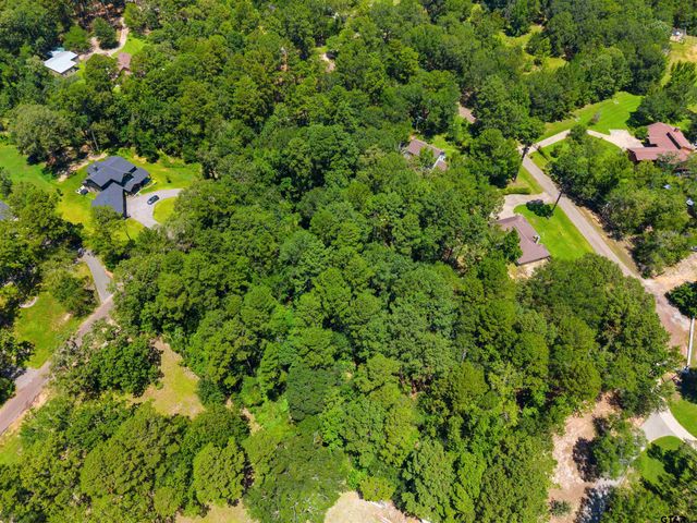 17837 Deer Trail, Flint, TX 75762