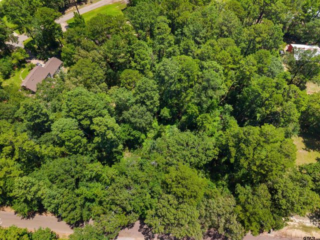 17837 Deer Trail, Flint, TX 75762