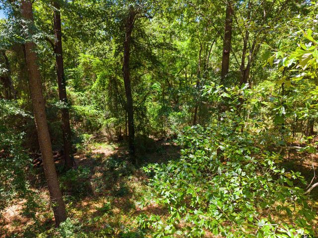 17837 Deer Trail, Flint, TX 75762