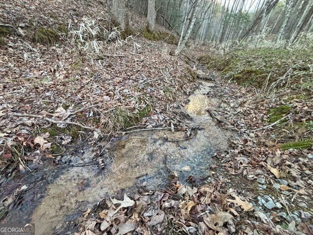 2372 Humphrey Mill Road, Mineral Bluff, GA 30559