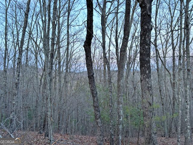 2372 Humphrey Mill Road, Mineral Bluff, GA 30559