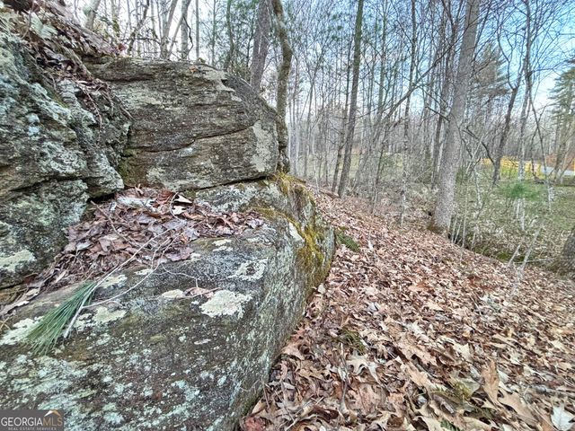 2372 Humphrey Mill Road, Mineral Bluff, GA 30559