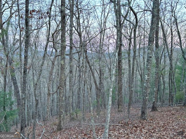 2372 Humphrey Mill Road, Mineral Bluff, GA 30559