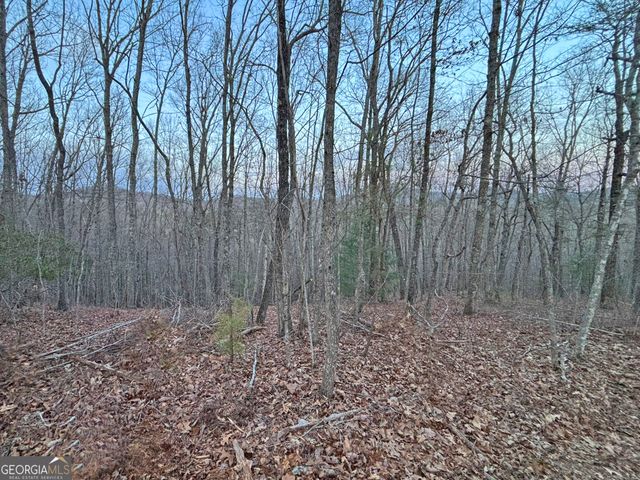 2372 Humphrey Mill Road, Mineral Bluff, GA 30559