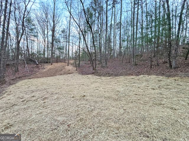 2372 Humphrey Mill Road, Mineral Bluff, GA 30559