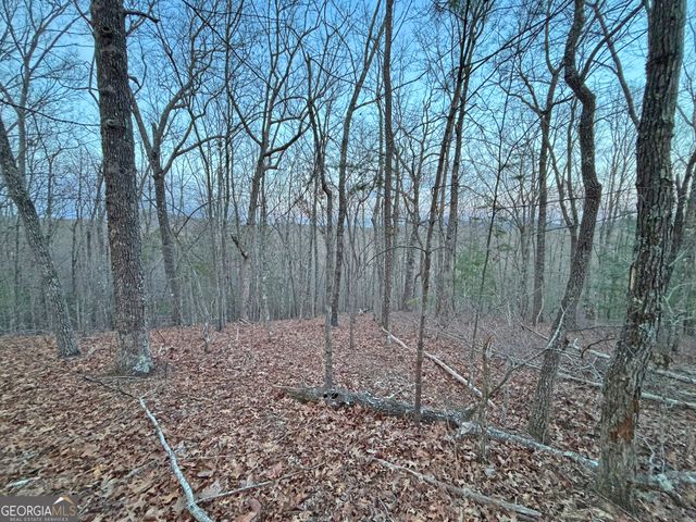 2372 Humphrey Mill Road, Mineral Bluff, GA 30559