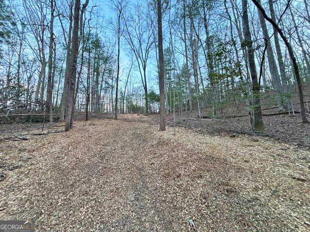 2372 Humphrey Mill Road, Mineral Bluff, GA 30559