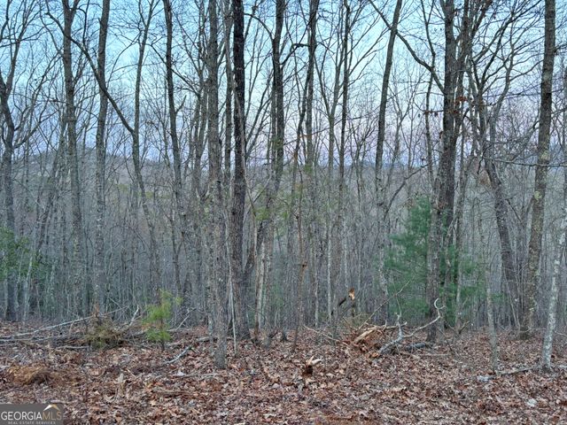 2372 Humphrey Mill Road, Mineral Bluff, GA 30559