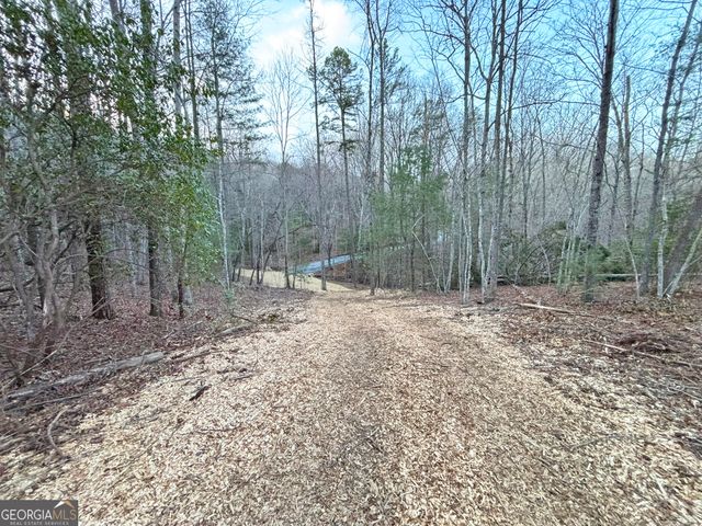 2372 Humphrey Mill Road, Mineral Bluff, GA 30559