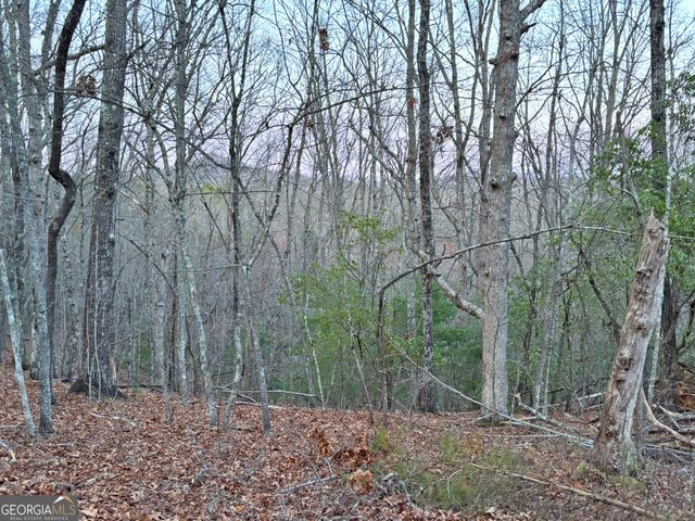 2372 Humphrey Mill Road, Mineral Bluff, GA 30559