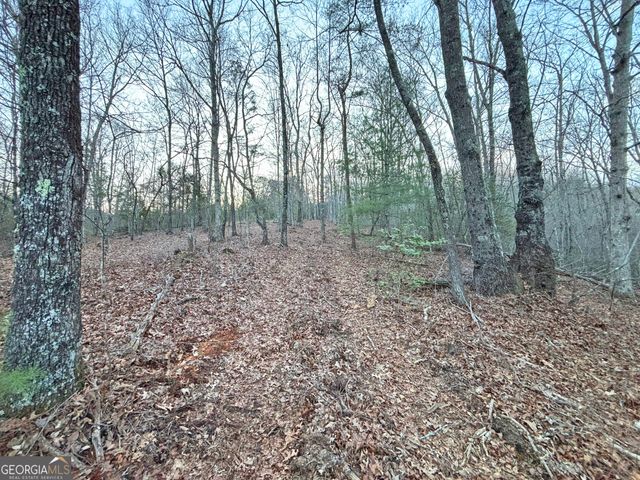 2372 Humphrey Mill Road, Mineral Bluff, GA 30559