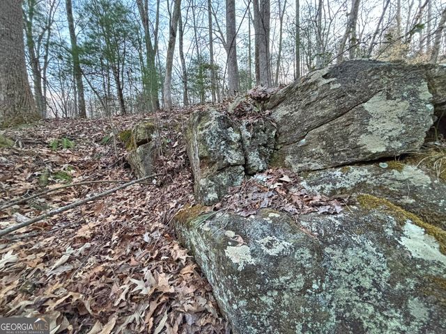 2372 Humphrey Mill Road, Mineral Bluff, GA 30559