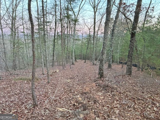 2372 Humphrey Mill Road, Mineral Bluff, GA 30559