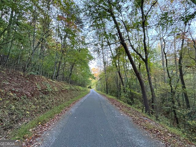 2372 Humphrey Mill Road, Mineral Bluff, GA 30559