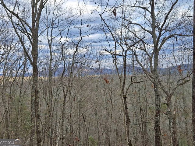 2372 Humphrey Mill Road, Mineral Bluff, GA 30559