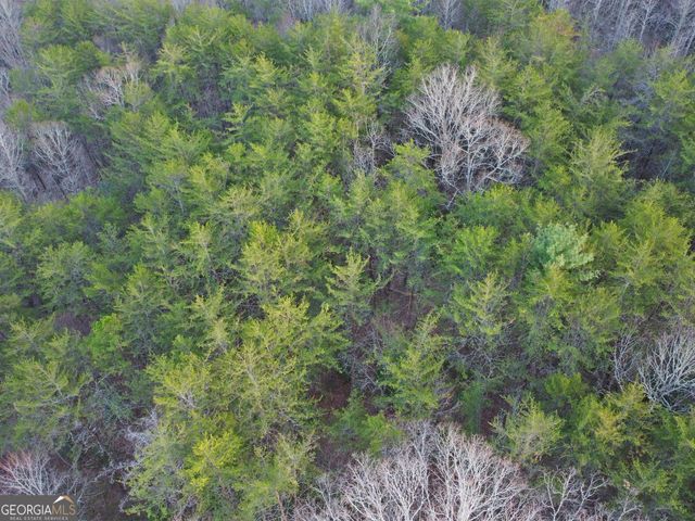 2372 Humphrey Mill Road, Mineral Bluff, GA 30559