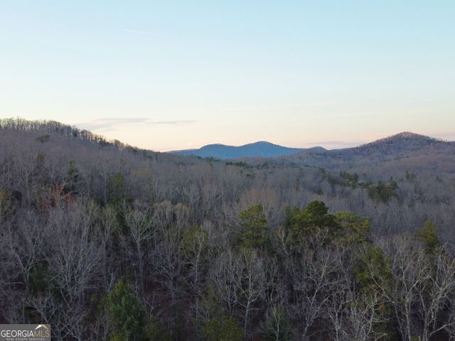 2372 Humphrey Mill Road, Mineral Bluff, GA 30559