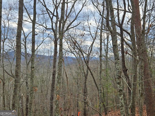 2372 Humphrey Mill Road, Mineral Bluff, GA 30559